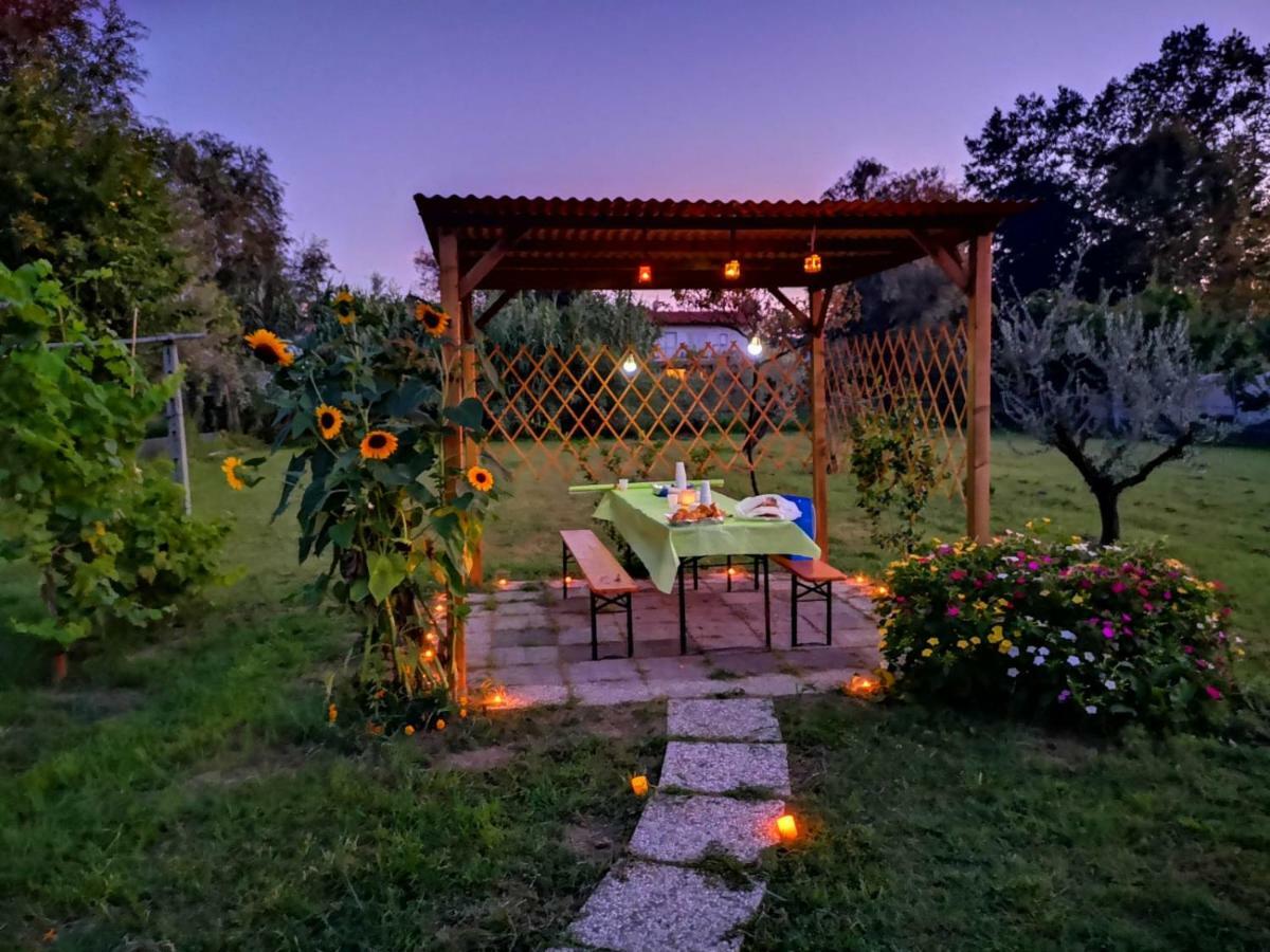 Bed and Breakfast Nonna Piera Marina Di Carrara Zewnętrze zdjęcie